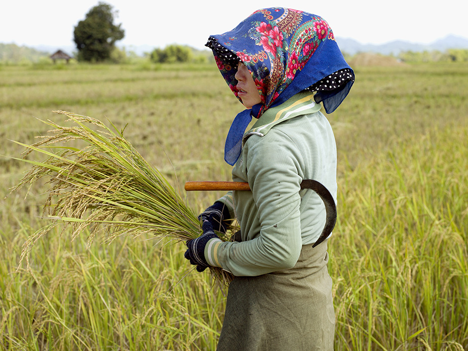 Lao PDR - Rural life - Subsistence farming