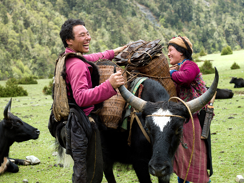 Bhutan - The Brokpa - A family prepares to migrate to their summer pastures with their zhomo