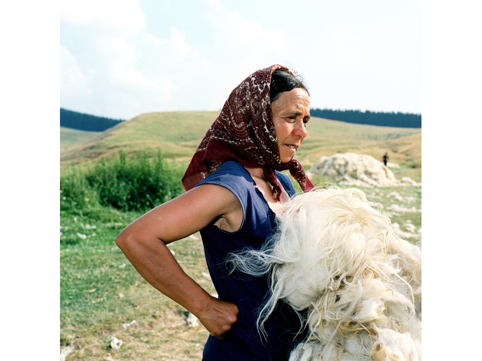 Romania - Carpathian mountains - Woman holding a sheep's fleece after shearing